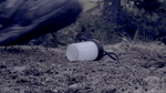 EAL13 - Coast Emergency Area Lantern- 330 Lumens